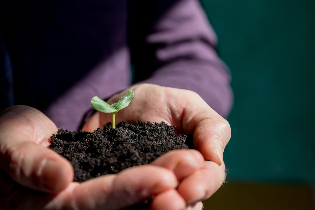 A gardener holding a little plant in his hands