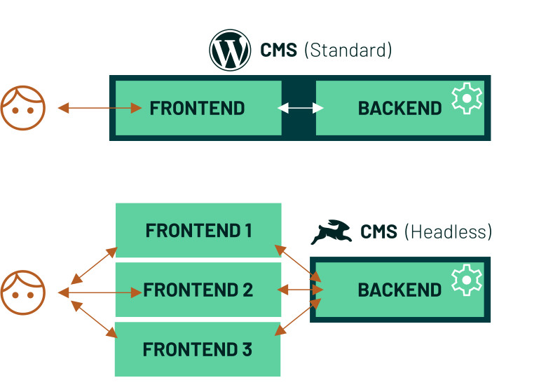 Diagram of a headless cms like Directus